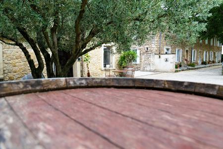 New 2024 Vintage: A Promising Year!
